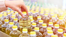 Производство подсолнечного масла в России снизится на 5%